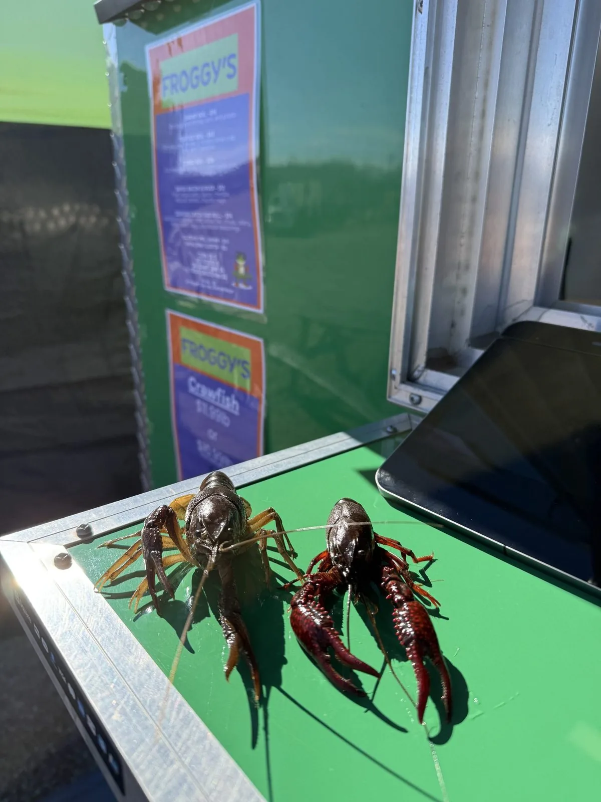Live Crawfish at the Window — Froggy's TX Southern Seafood